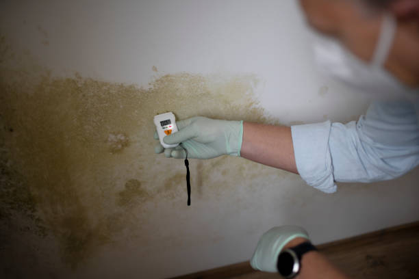 Best Mold Testing and Inspection Services in Silver Lake, KS