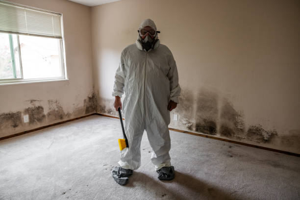 Best Mold Remediation for Specific Building Types in Silver Lake, KS