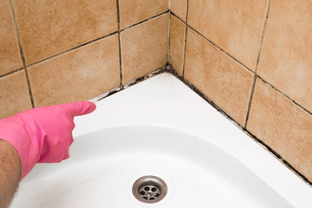 Best Bathroom Mold Remediation in Silver Lake, KS